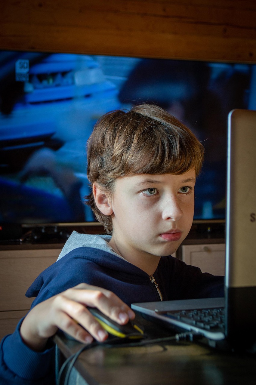 boy, the internet, online games, baby, caucasian, notebook, surf the internet, teen, sites, kids, computer, to study, fun, screen, house